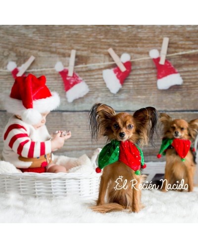 Mini sesión navidad