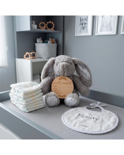 Regalo de Nacimiento Económico con Peluche y Babero
